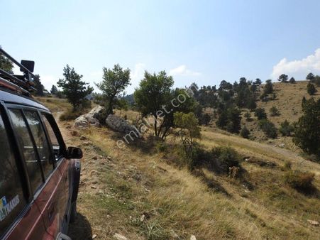 Çameli Cumaalanında 10 Dönüm Fırsat Fiyat Yatırımlık Tarla