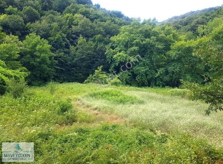 Çanakkale Çan Bozguç Köyün'de Yola Cepheli Sebze Bahçesi