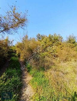 Baker'den Mudanya Dereköyde 3.335 M2