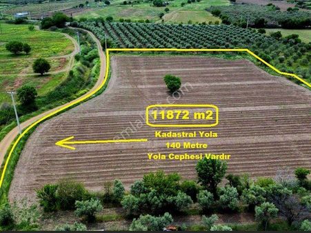 Bülent Ateşci'den Kavakarası Mevkiinde 11872 M2 Arazi