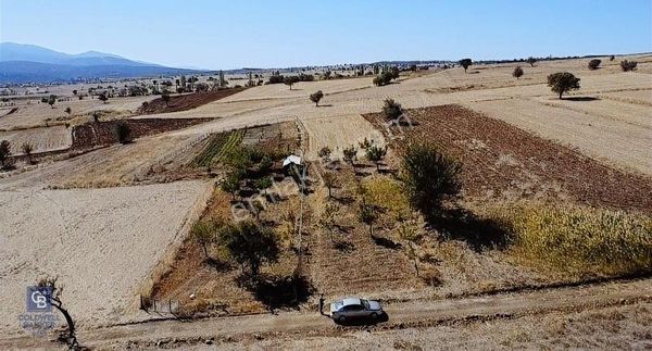 Tavas Tekke'de 2700 M² Satılık Arazi