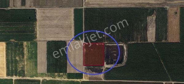 Anadolu Emlaktan Sindelhöyükte Satılık Tarla