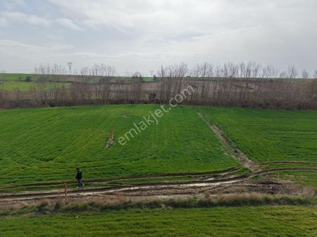 Saray Çayla Köyünde Yerleşime Yakın 1100 Metre² Tek Tapu