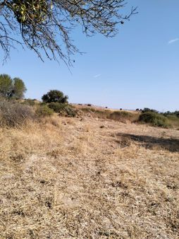 Satılık Hisseli Tarla