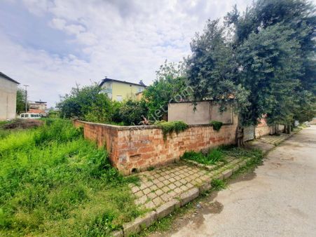 Millet Parkı Sokağı Etrafı Çevrili Arsa..