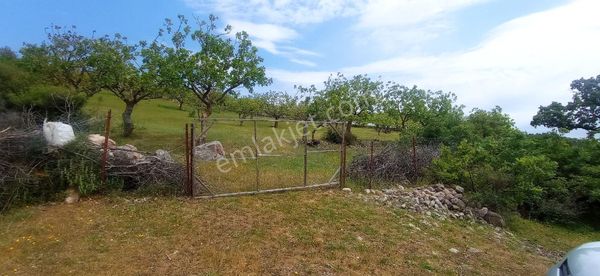 İlyascalar Satilik Fistik Tarlasi