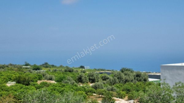 Ayaş Kumkuyu'da Villa İmarlı Satılık Arsa