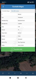 Bilecik Yenipazar Batıbelenören Köyünde Yatırımlık Fırsat Tarla