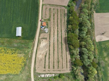 Tekırdağ Ergene Bakırca 6851 Metre² Müstakıl Tek Tapu Tarla