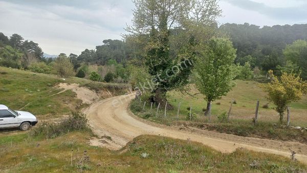 Köye 600m Mesafede Satılık Tarla