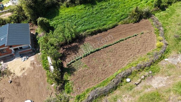 Alaybey(duraçali) 726 M2 Köyiçi Konut Alanı Satılık