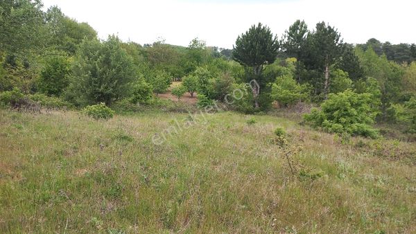 Kazdağları Eteğinde Oldukça Ferah Konum Satılık Tarla