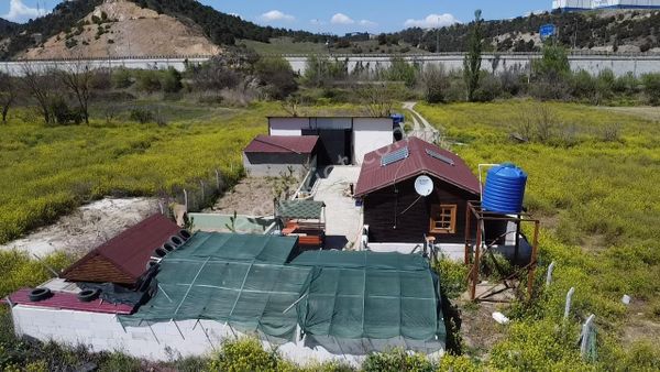 Bilecik Osmaneli Camikebir Satılık Çiftlik 2 Parsel 1442 Mk Acil