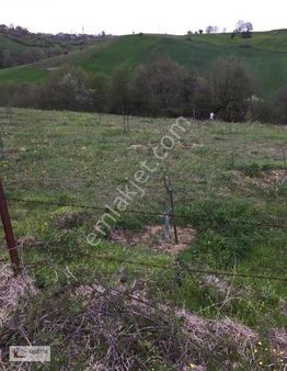 Sipahiler Korucuköyde Köy Yolu Üzerinde 6375 M2 Tarla