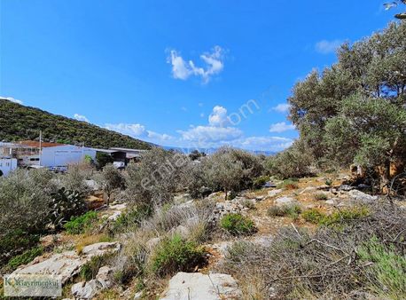 Bodrum İçmeler'de Deniz Manzaralı Yatırımlık Arsa