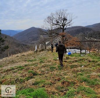 Satılık Karamürsel Senaiye Koyunde 41 Dönüm %5 Imarlı Tarla