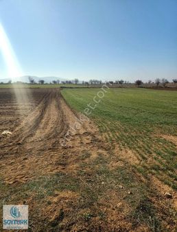 Soytürk'den Kutlubey Ovada Yola Sıfır Verimli Arazi 14350 M2