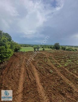 Soytürk'den Kutlubey De Yerleşime Yakın 8000 M2 Arazi