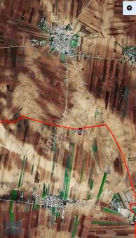 Seç Emlak Tan Alaçalı Köyünde Satılık Fıstıklık