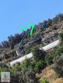 Alanya Dim Bıçakçı Mah Satılık Full Baraj Manzaralı Tarla