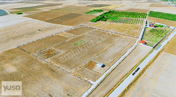 Tekirdağ Saray Sofular Hisseli Tarla