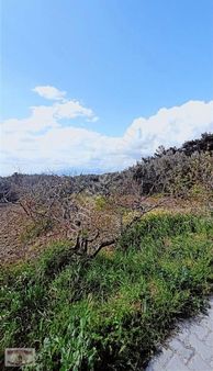 Şirince Beylikiçinde Doğa Manzaralı Kupon Arazi Fırsatı