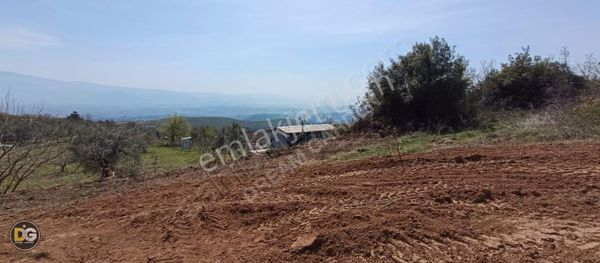 Gündoğdu Bursa Osmangazi Hobi Bahçeleri