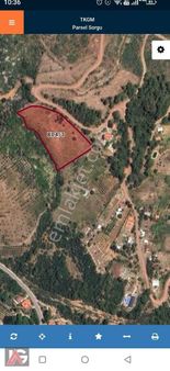 Dünyanın Turizm Cenneti Adrasanda 9250m2 Satılık Bahçe