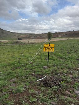 Öz Gaye Emlaktan Develi Aksuda Satılık Arazi