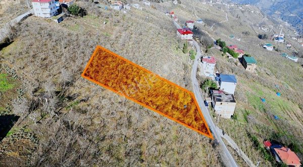 Altın Emlak Trabzon Ağıllıda Satılık Deniz Manzaralı Arazi