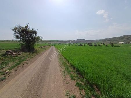 Başakpınar'da 3850 M2 İmarlı Satılık Arsa 220/1