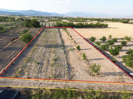 Korkuteli Yeltende Satılık Sulak Bahçe 2997 M2 Bahçee