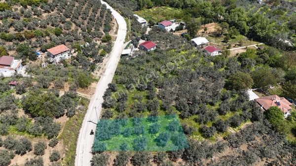 Kumla Konak Emlak’tan Asfalta Sıfır Bahçe