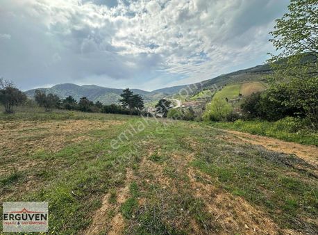 Erguven İnşaat & Gayrimenkulden Zeytinlik Tarlası