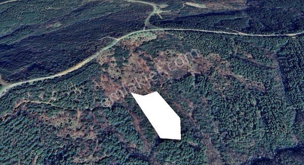 Çanakkale Şevketiye Köyünde Satılık Tarla