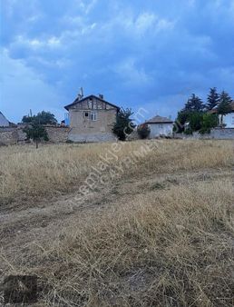 Asaf Gayrimenkul'den Köy İçi Tarla