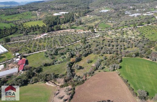Bodrum Çömlekçi Mevkii Satılık Arazi