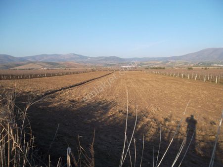 Manisa Salihli Poyraz Damları Satılık Tarla