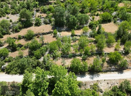 Takasa Açık Müstakil Tapu İki Adet Ceviz Bahçesi