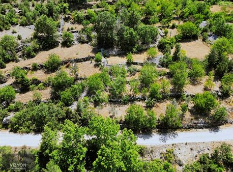 Takasa Açık Satılık Müstakil Tapu Ceviz Bahçesi
