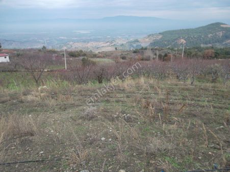 Manisa Salihli Gökköy Mahallesinde Satılık Tarla