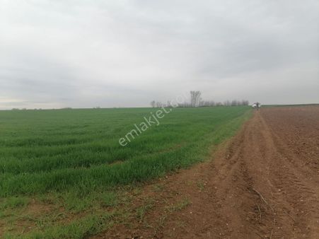 Kavaklı Merkeze Yakın Resmi Yolu Mevcut 7300 M2 Tarla
