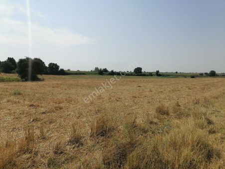 Koyunbaba Köyü 8800 M2 Köyün Girişinde Satılık Tarla