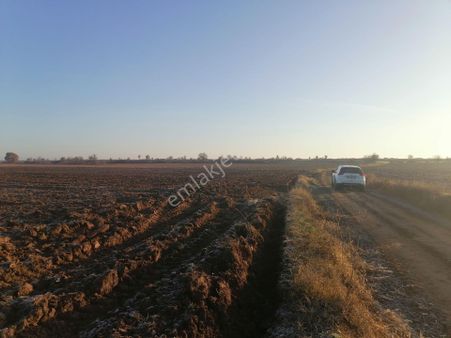 Paşayeri Köyü Koyunbaba Yoluna Cephe 3500 M2 Satılık Tarla