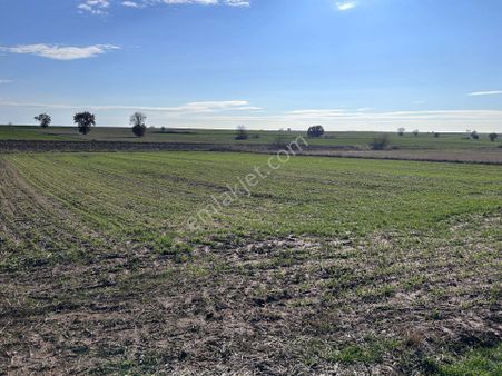 Ürünlü'de Köye Asfalta Yakın Resmi Yolu Var 2500m2 Satılık Tarla