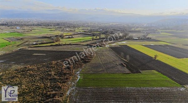 Yng Altın Bursa Nilüfer Görükle Kurtuluş'da Satılık Tarla