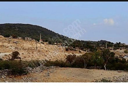 Stop’tan Karaağaç Köy İçi İmarlı Tek Tapu