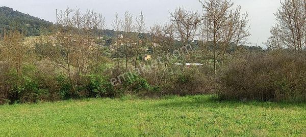 Manisa Avdal Da Satılık 4.625 M2 Boş Tarla 2.875.000 Tl