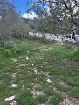 Asya Evim Emlaktan Ağlasun Kum Mah. De Satılık Meyve Bahçesi