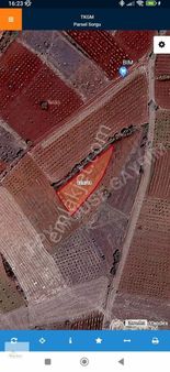 Denizli Bekilli Bahçeli Yatırımlık Satılık 1714 M2 Tapulu Tarla